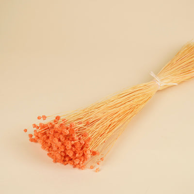 Gedroogde berina – oranje