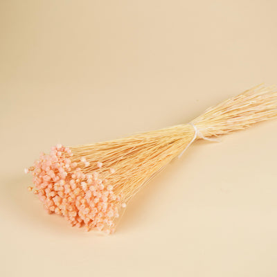 Gedroogde berina – roze