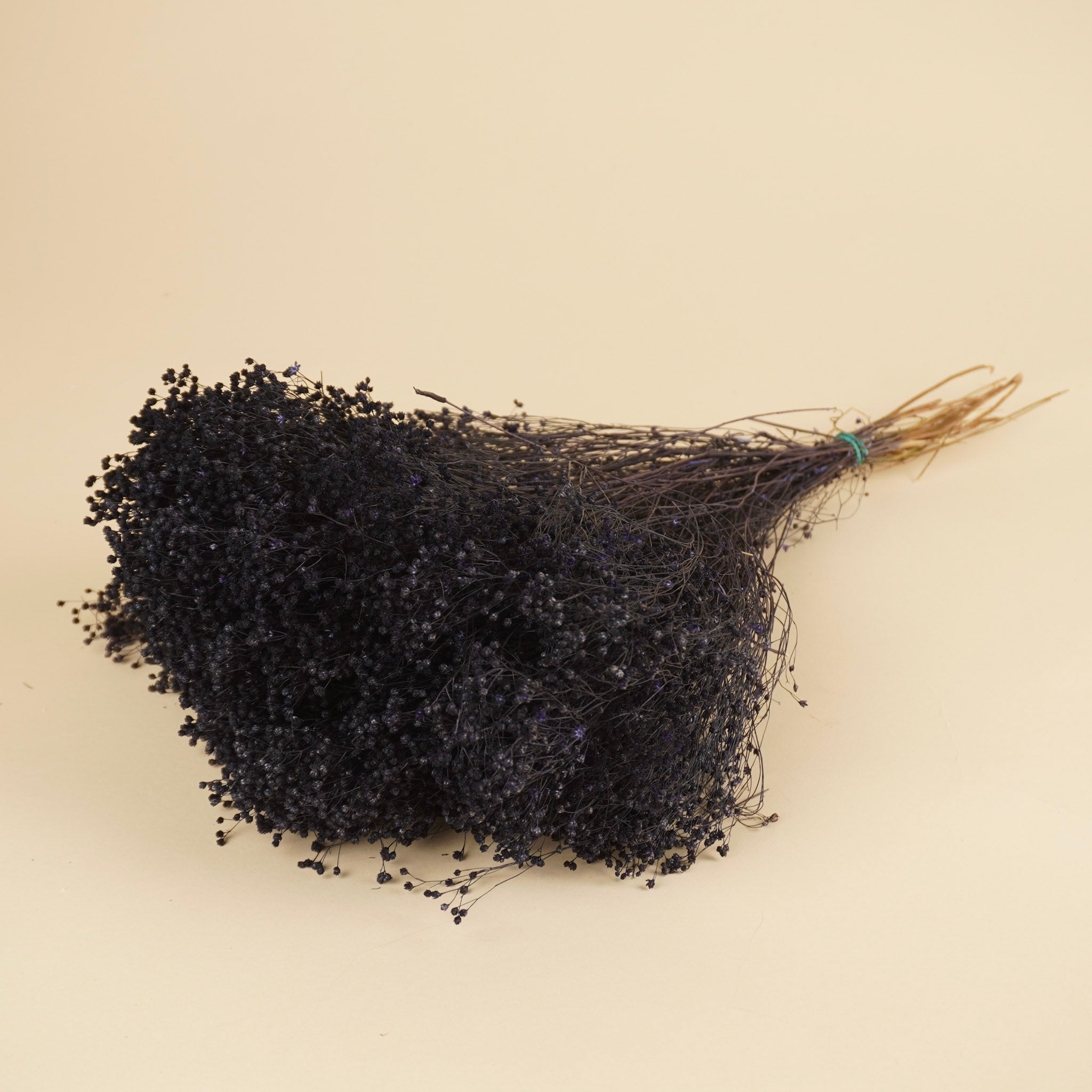 Gedroogde Broom bloom – paars