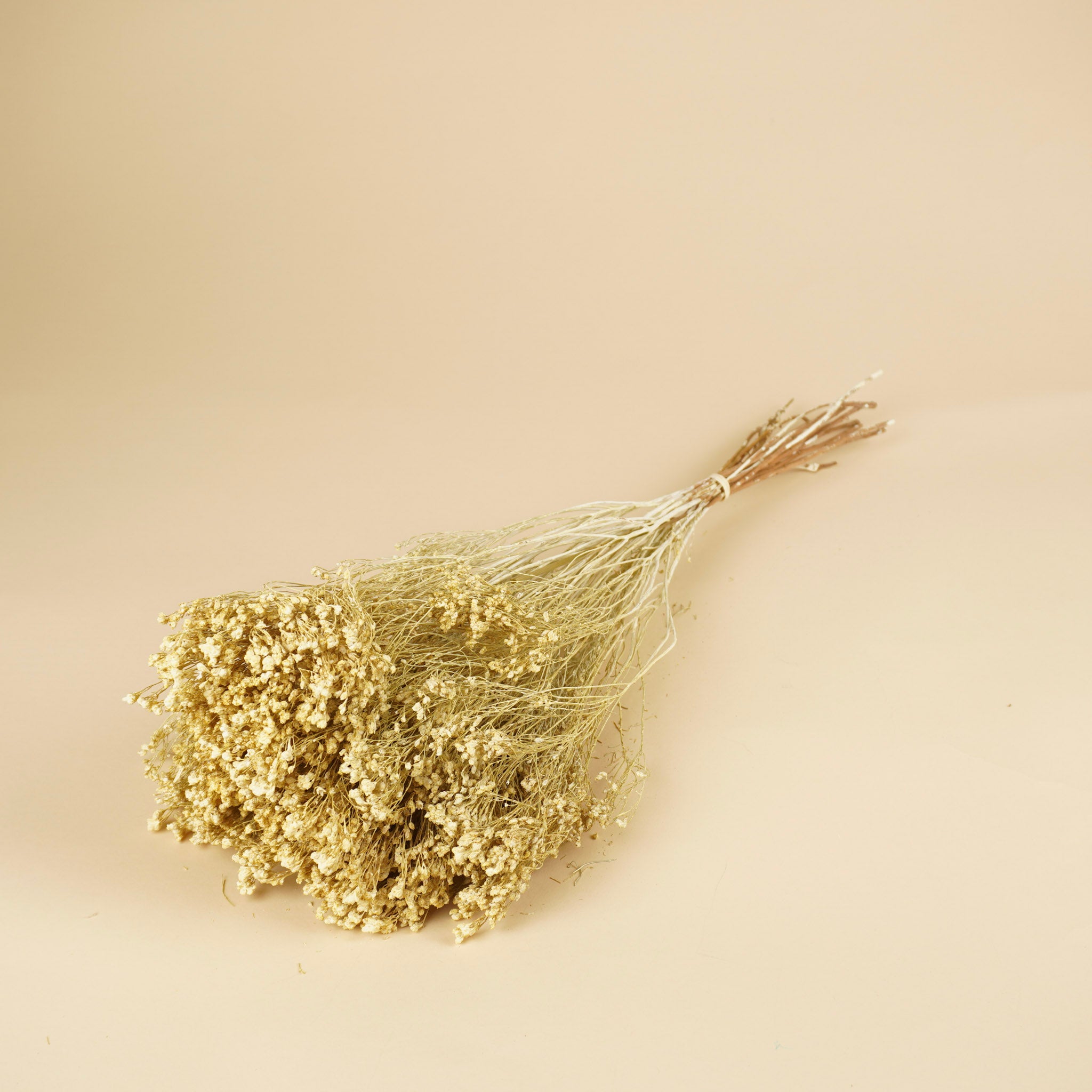 Gedroogde broom bloom – white misty