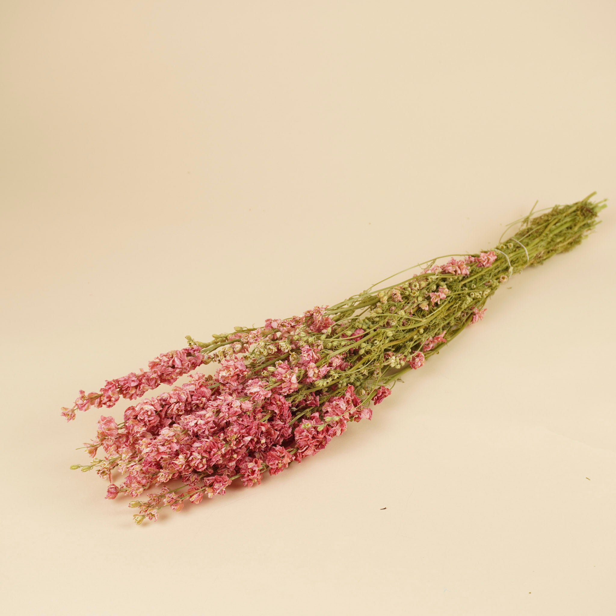 Gedroogde delphinium (ridderspoor) – roze