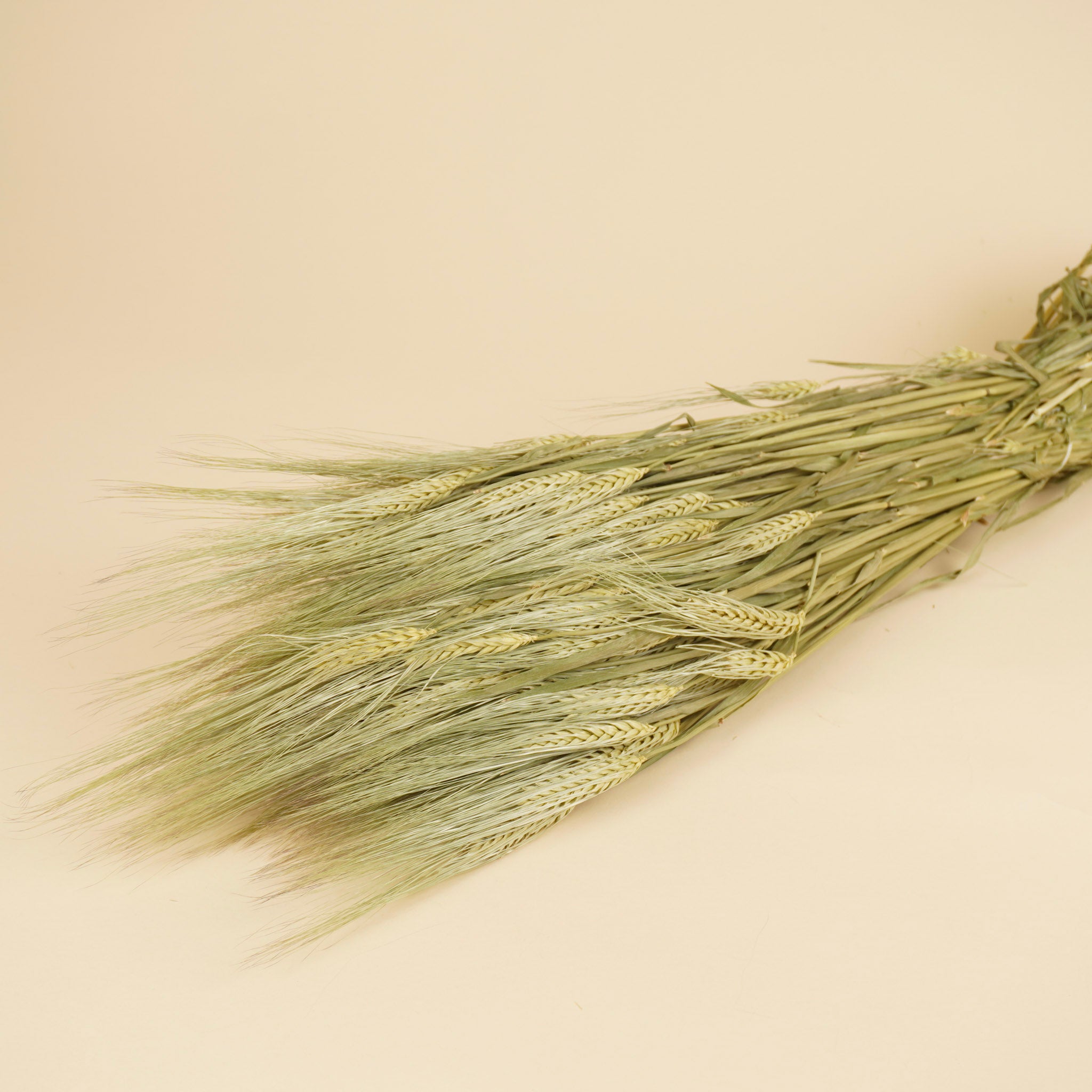 Gedroogde Gerst naturel (Barley)