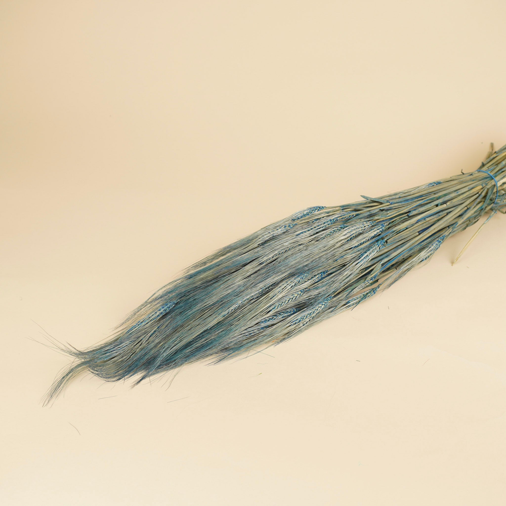 Gedroogde gerst – blauw