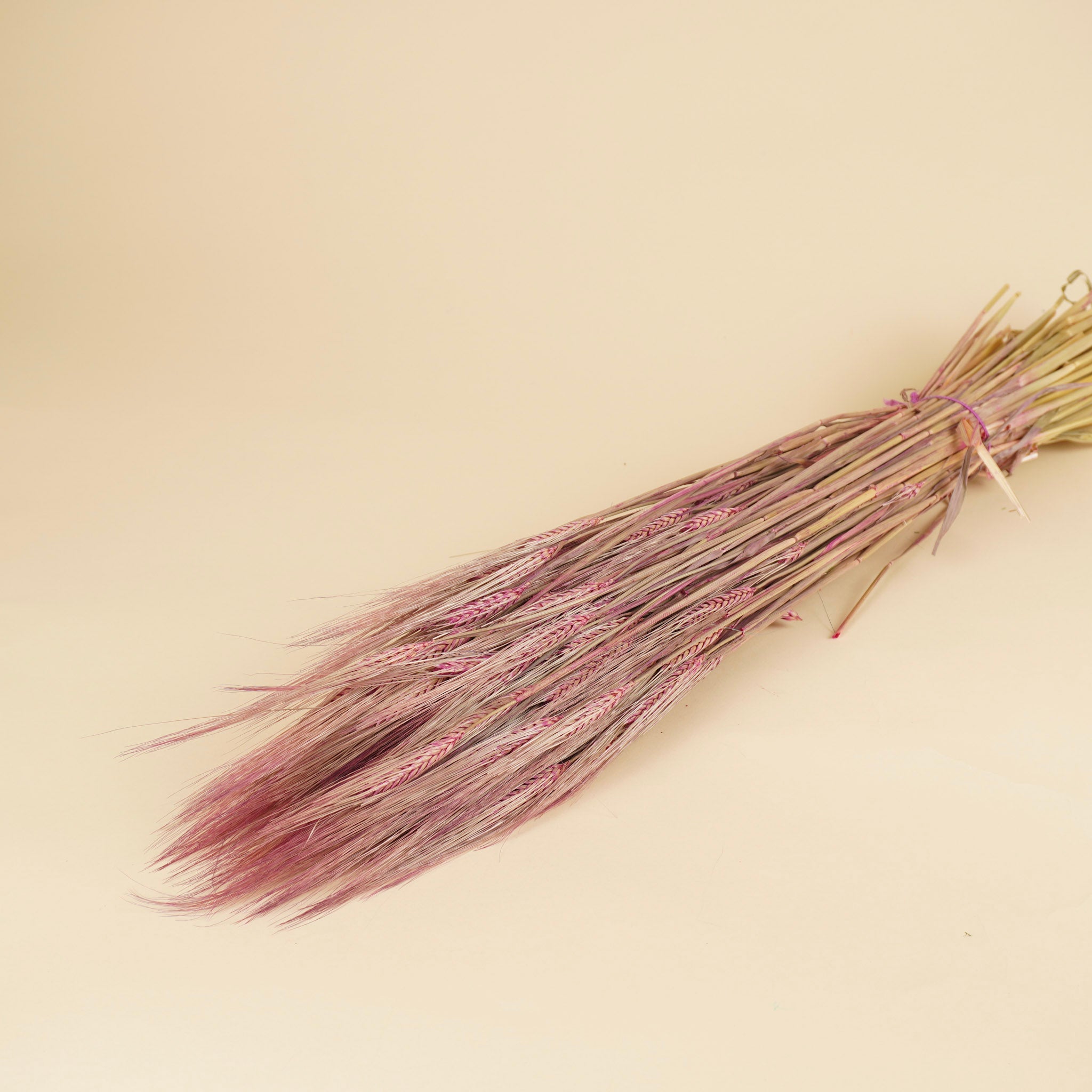 Gedroogde Gerst – roze