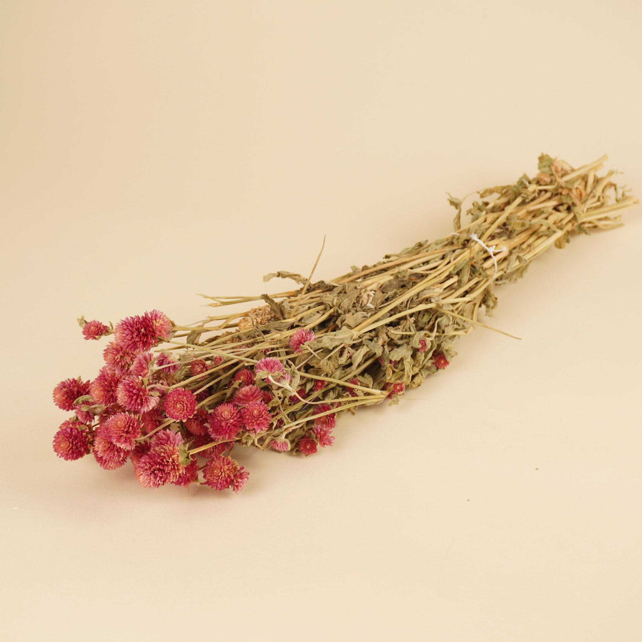 Gedroogde gomphrena – lila