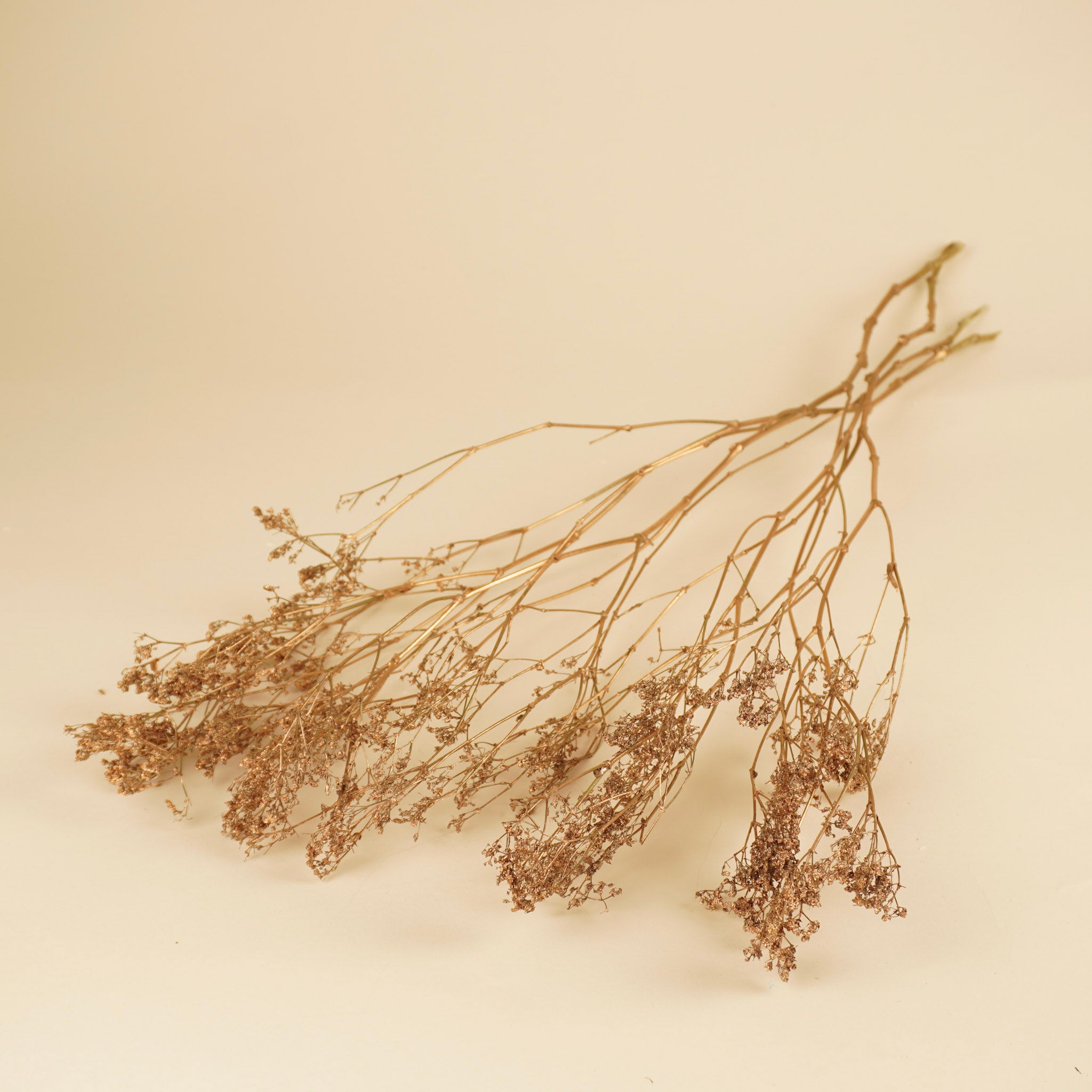 Gedroogde gypsophila (gipskruid) – goud geverfd