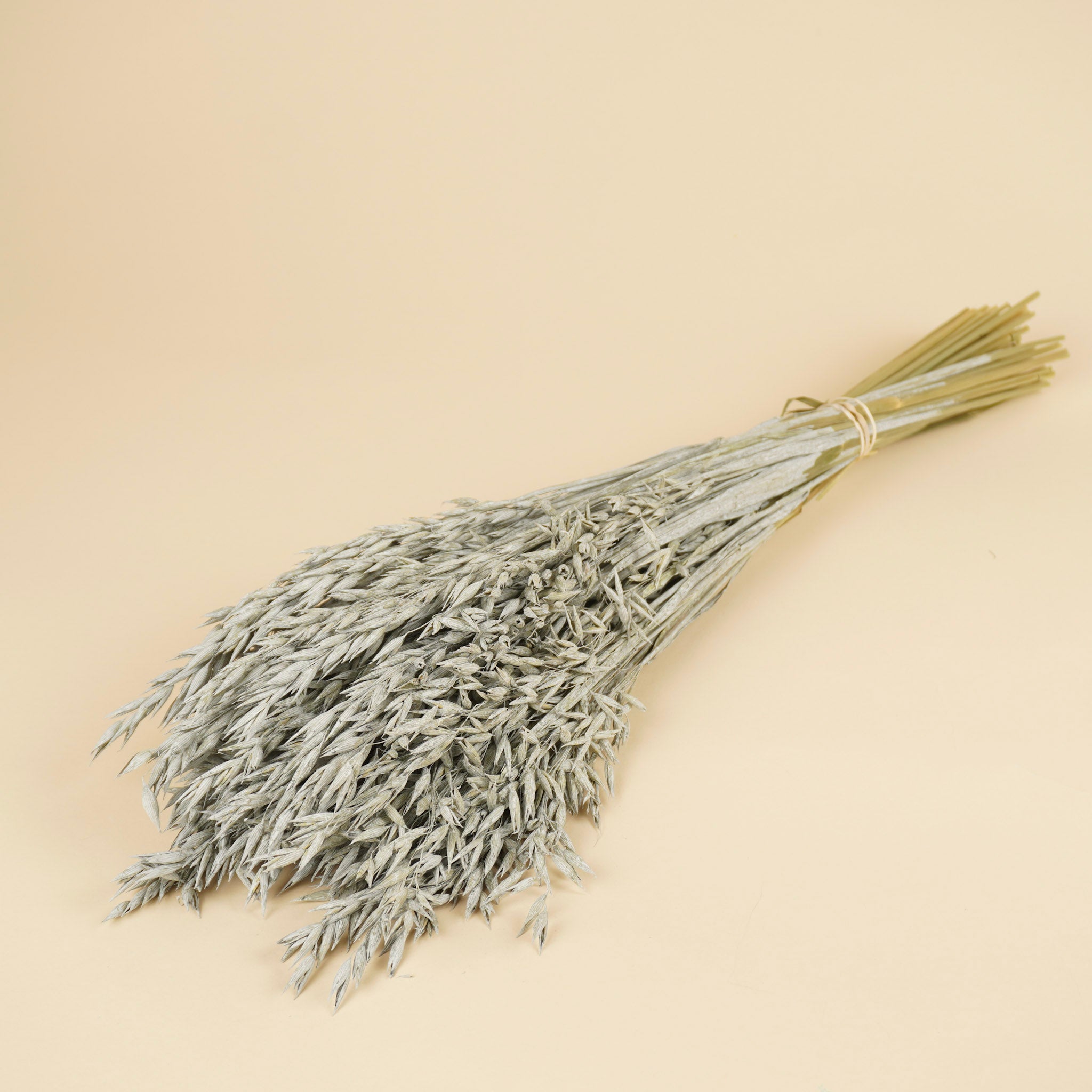 Gedroogde Haver (Avena) – grijs