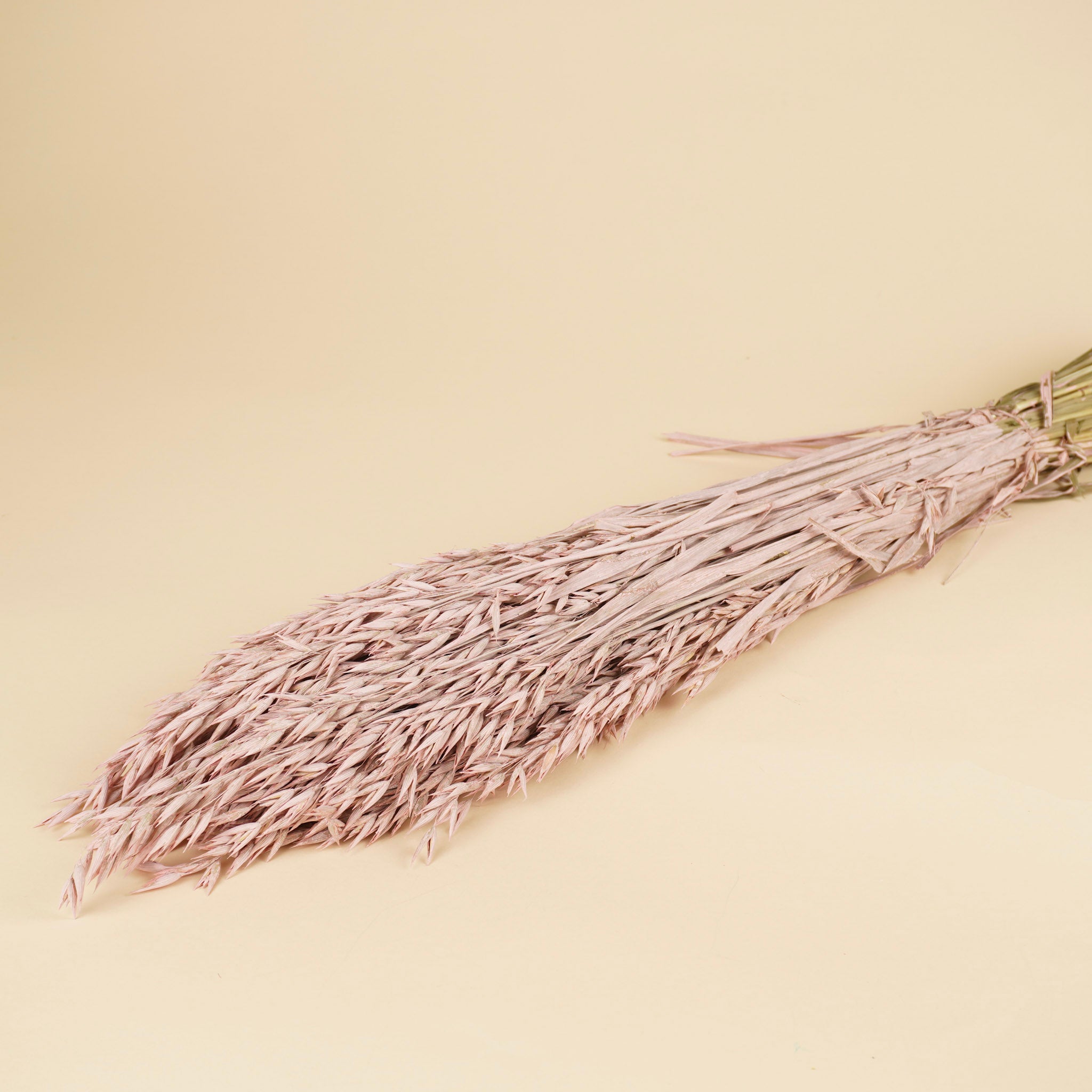 Gedroogde haver (avena) – misty pink