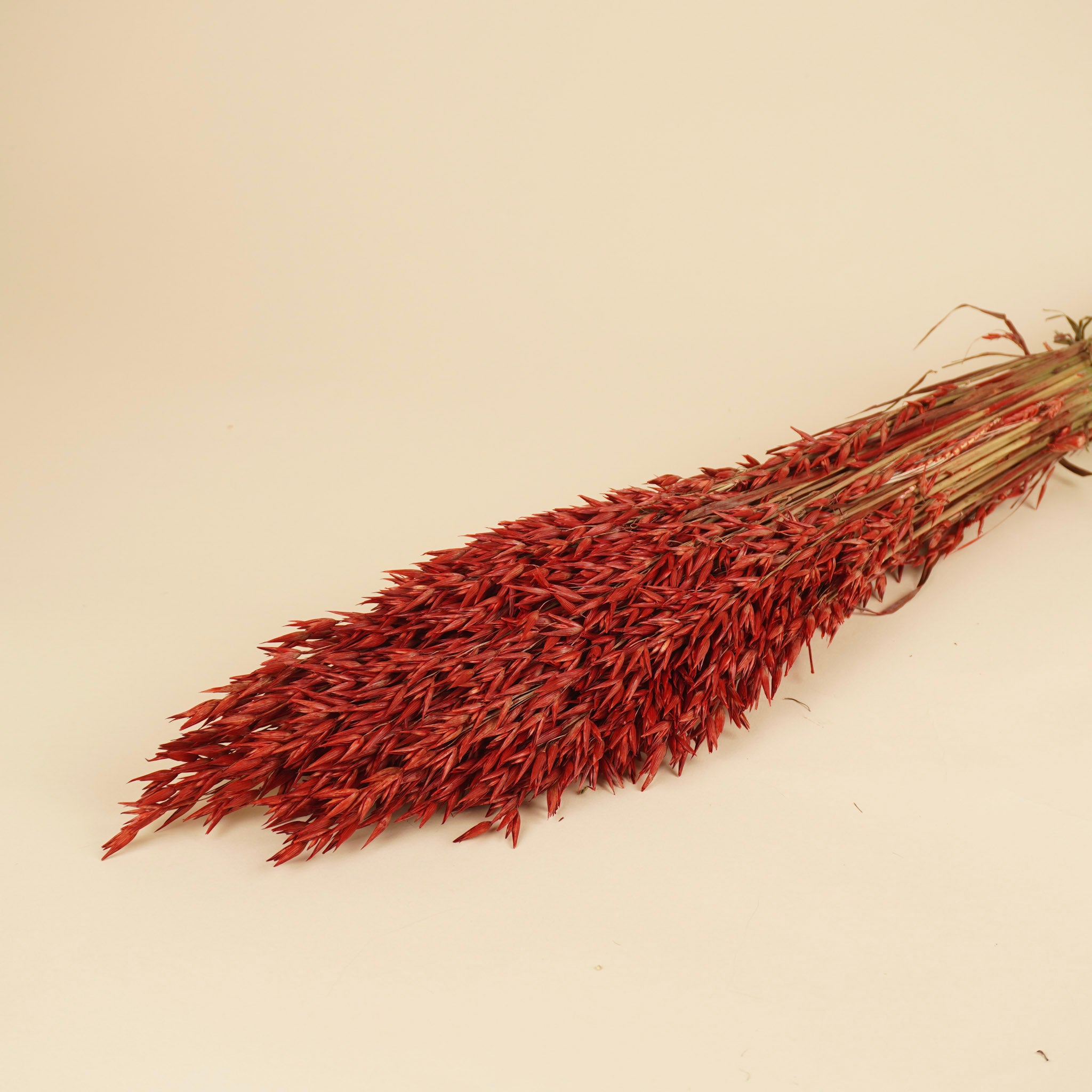 Gedroogde haver (avena) – rood