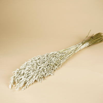 Gedroogde haver (avena) – white wash