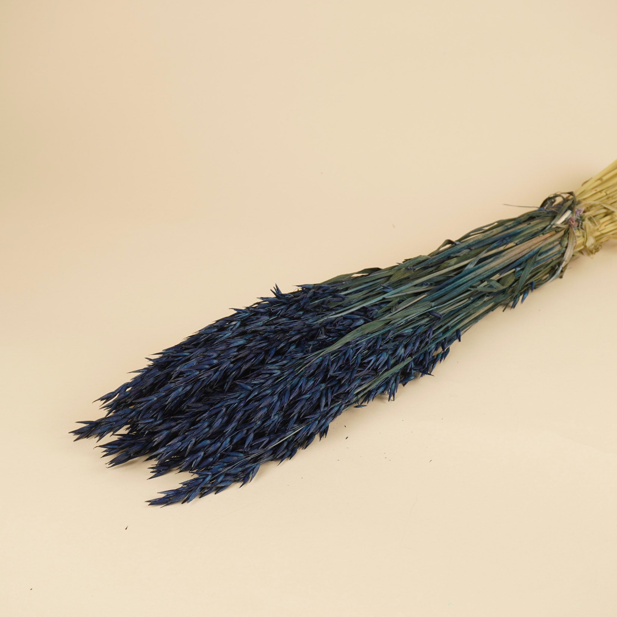 Gedroogde Haver – donker blauw