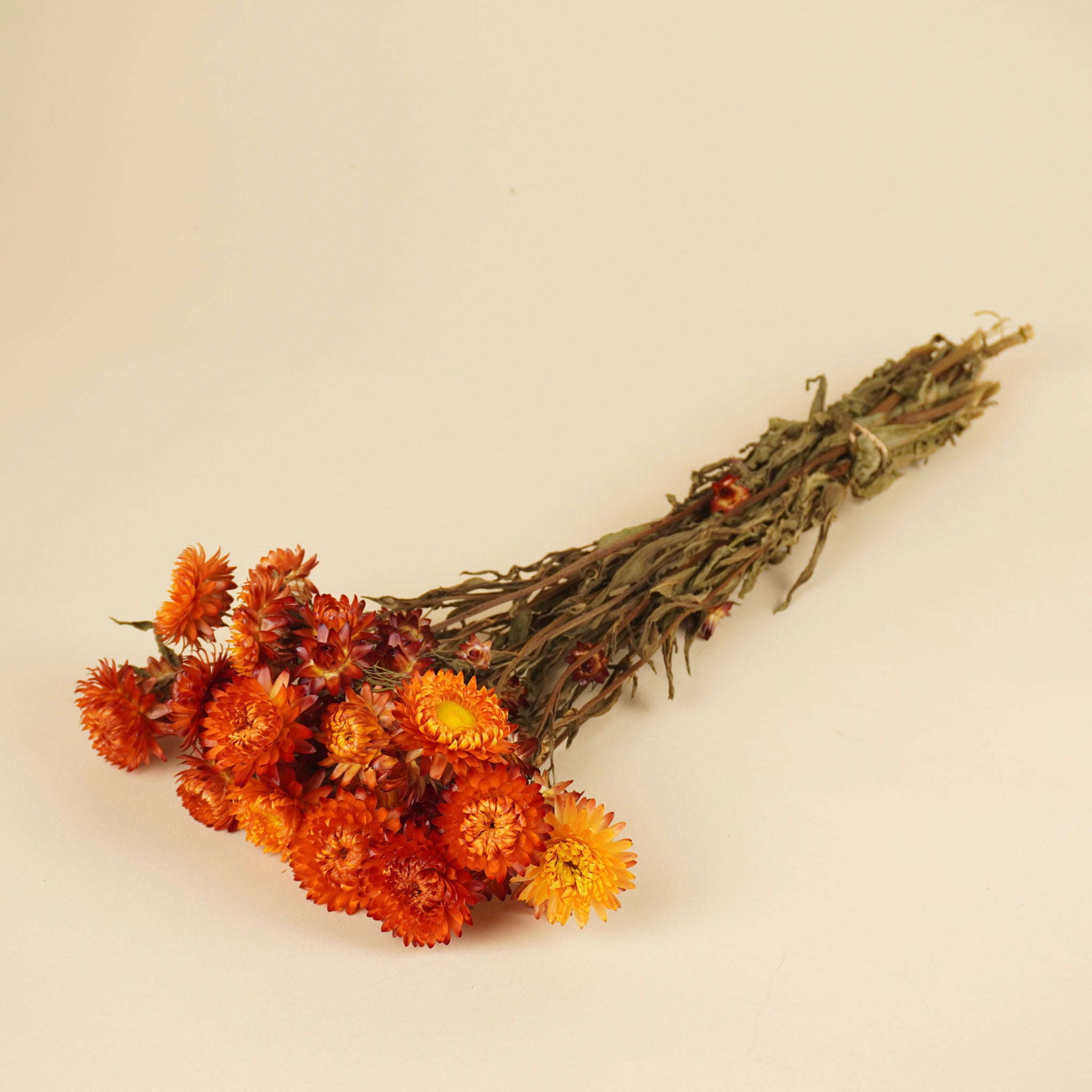 Gedroogde helichrysum – oranje geel