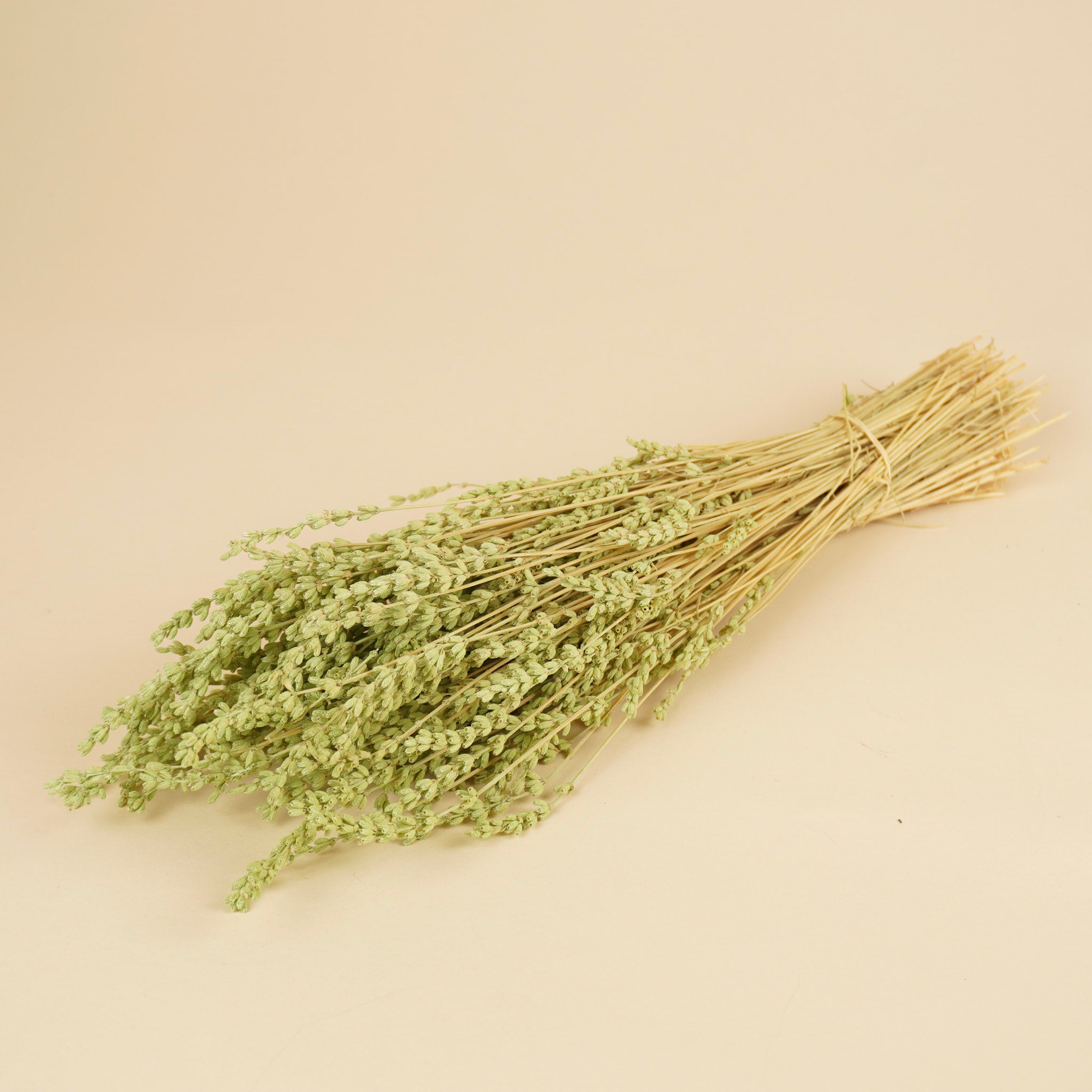 Gedroogde lavendel – mintgroen