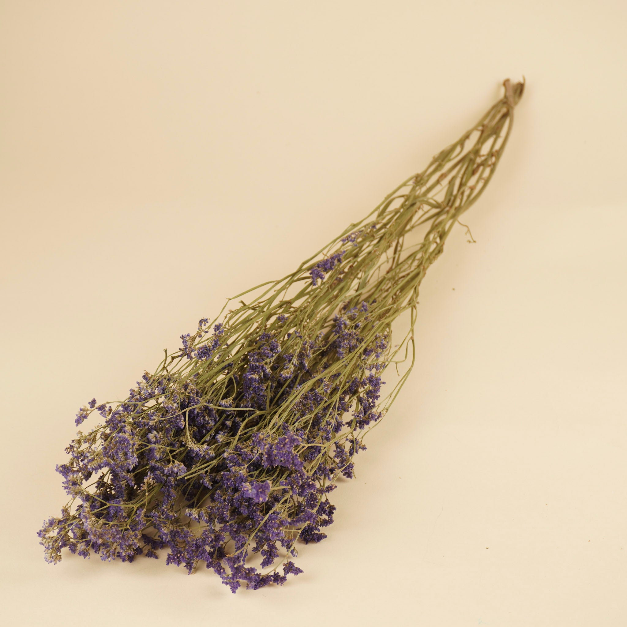 Gedroogde limonium diamond sinensis – paars