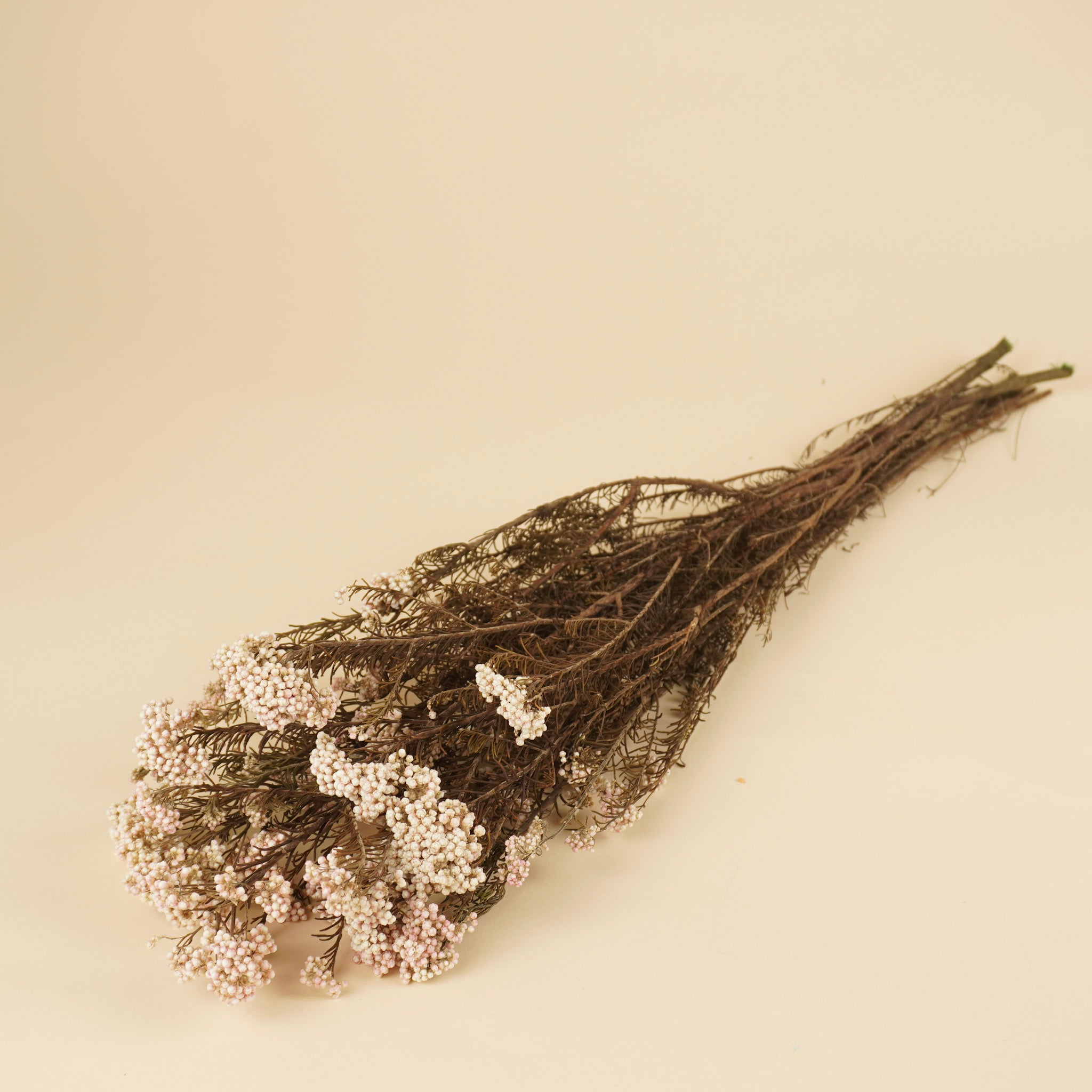 Gedroogde rice flower – naturel roze