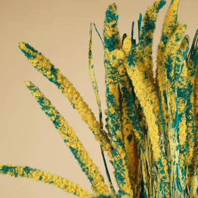 Gedroogde setaria – blauw/geel