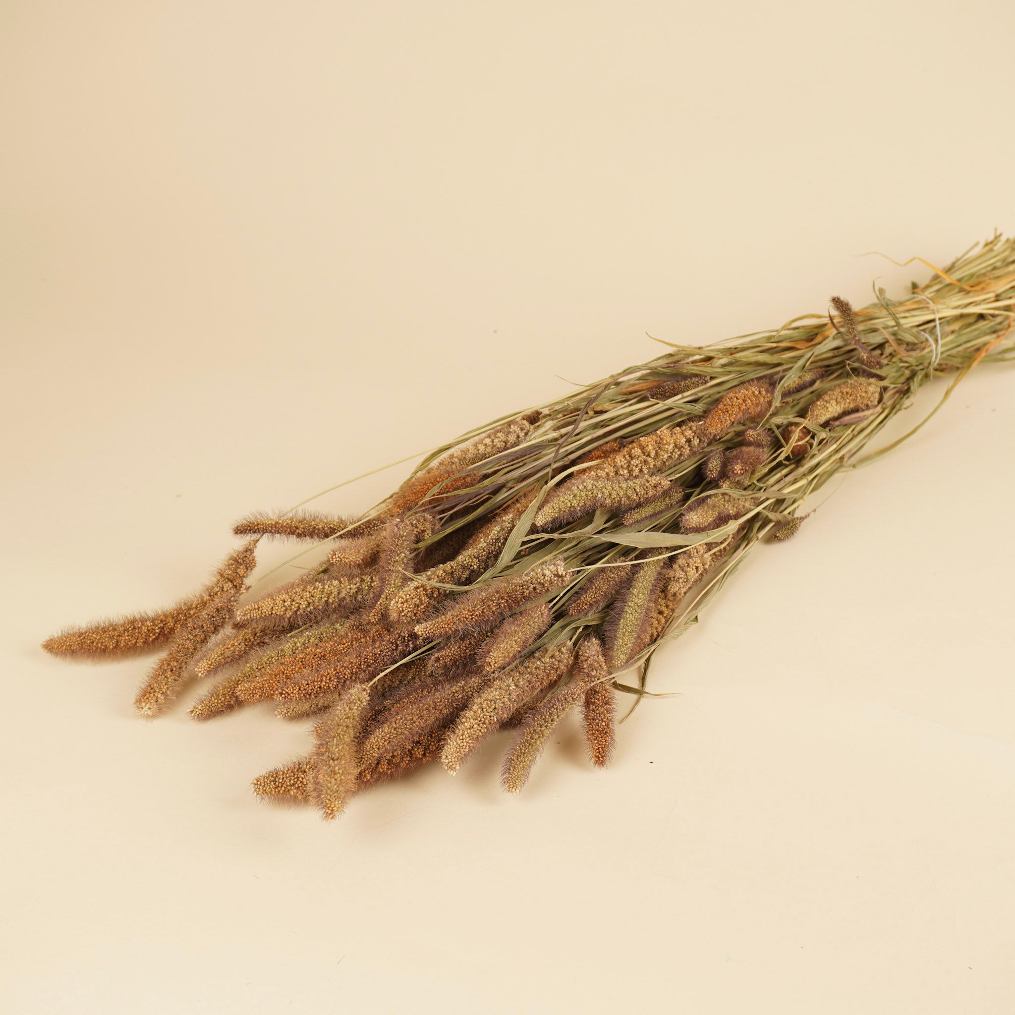 Gedroogde setaria italica – naturel