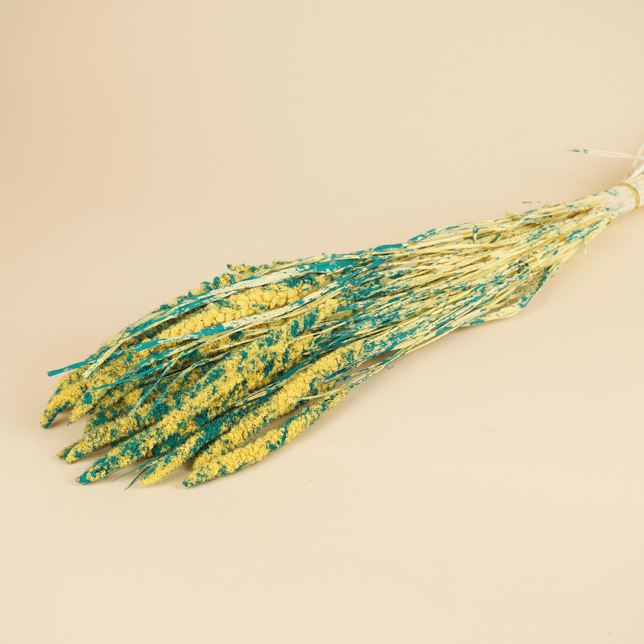 Gedroogde setaria – blauw/geel