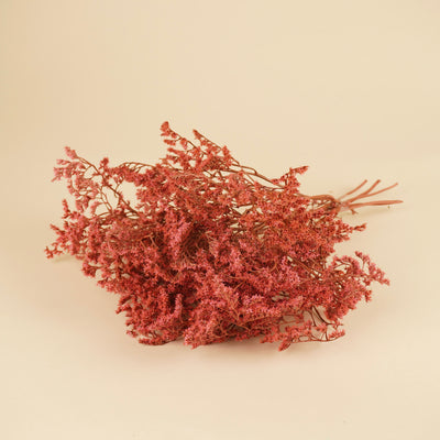 Gedroogde statice tatarica – roze