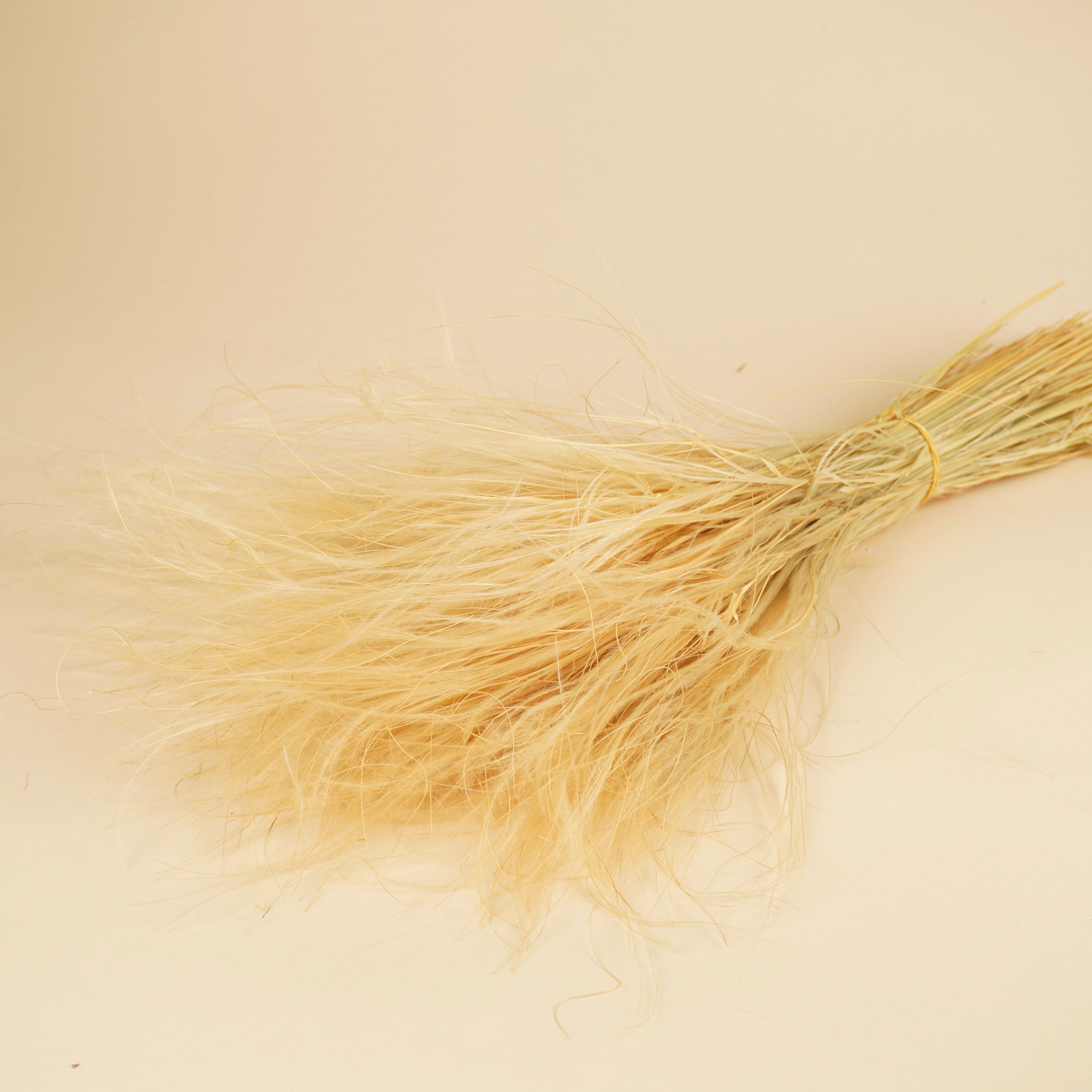 Gedroogde stypa penata – naturel