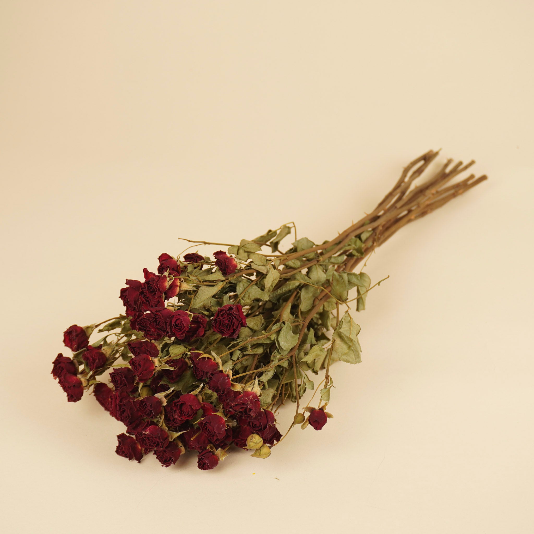 Gedroogde trosroosjes – donkerrood