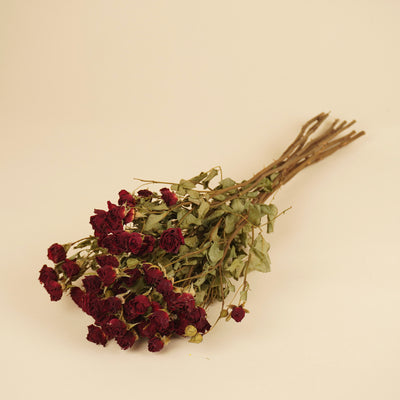 Gedroogde trosroosjes – donkerrood
