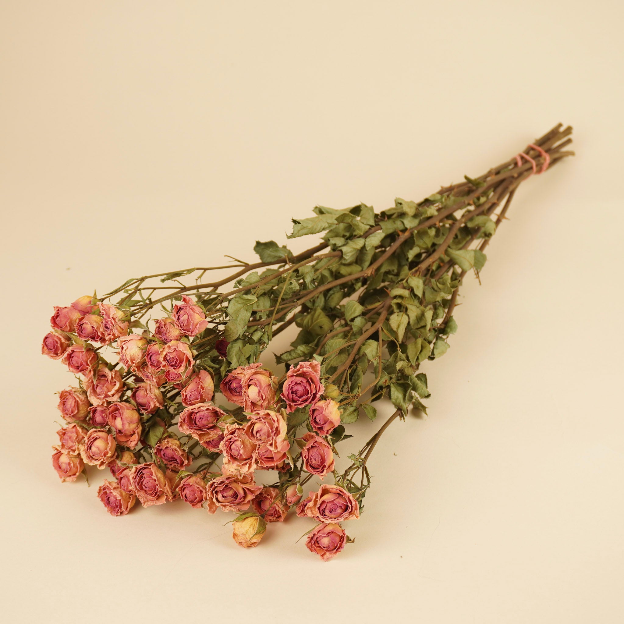 Gedroogde trosroosjes – roze
