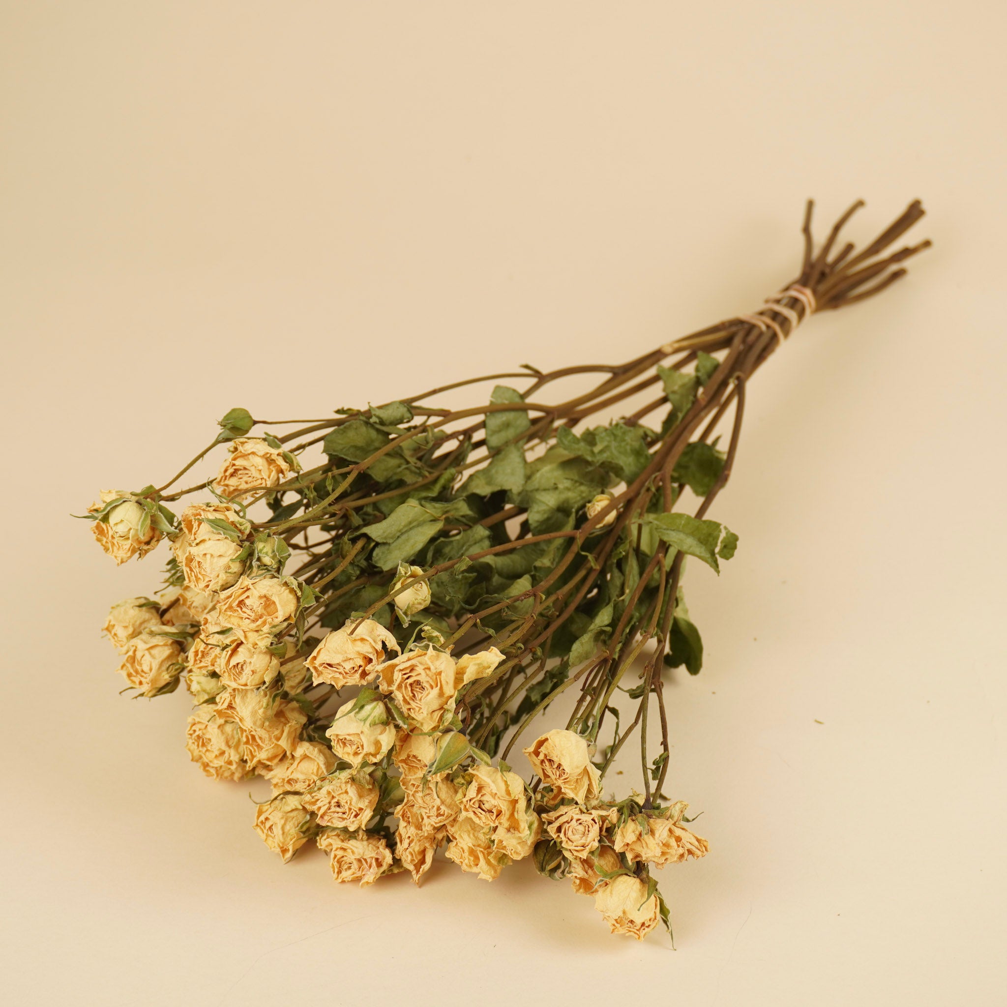 Gedroogde trosroosjes – wit