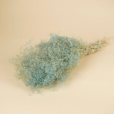 Gepreserveerd mini gypsophila – blauw
