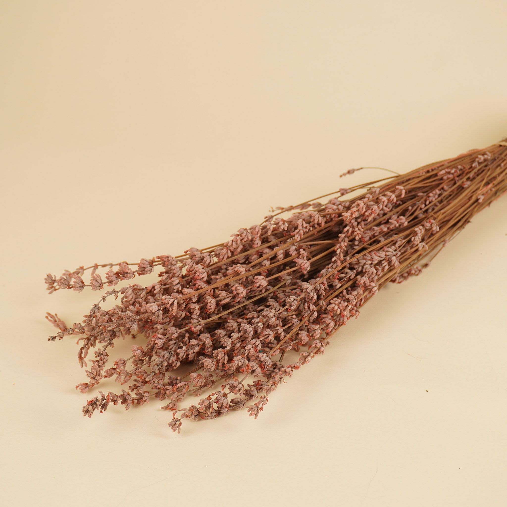 Gepreserveerde lavendel – roze