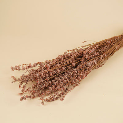Gepreserveerde lavendel – roze