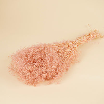 Gepreserveerde mini gypsophila (gipskruid) – roze
