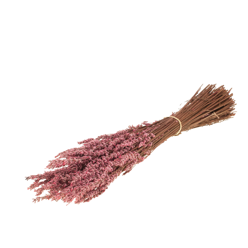 Gepreserveerde Lavendel – Roze