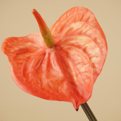 Zijde Anthurium – Oranje (65 cm)