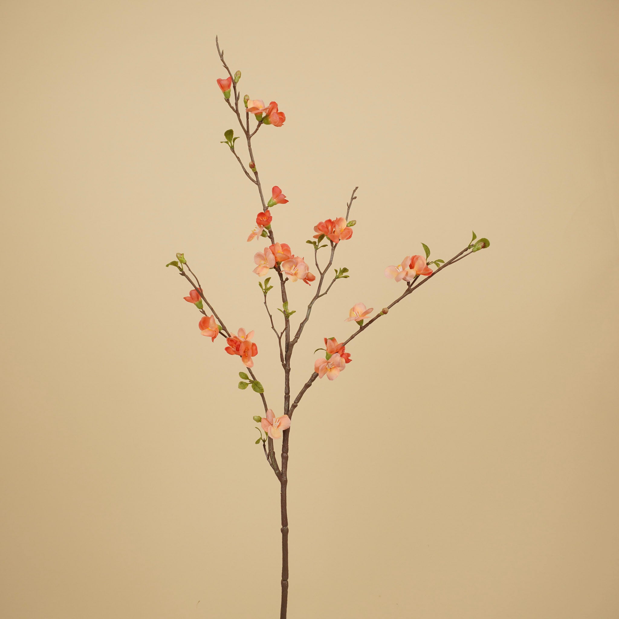 Zijde Chaenomeles Tak – Zalmroze & Perzik (81 cm)