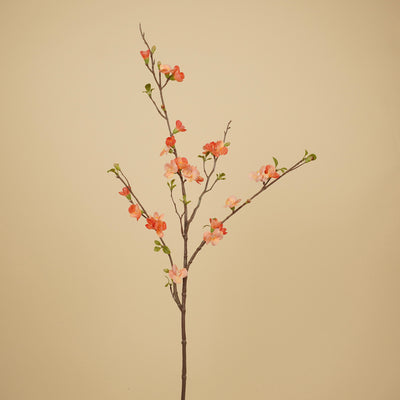 Zijde Chaenomeles Tak – Zalmroze & Perzik (81 cm)
