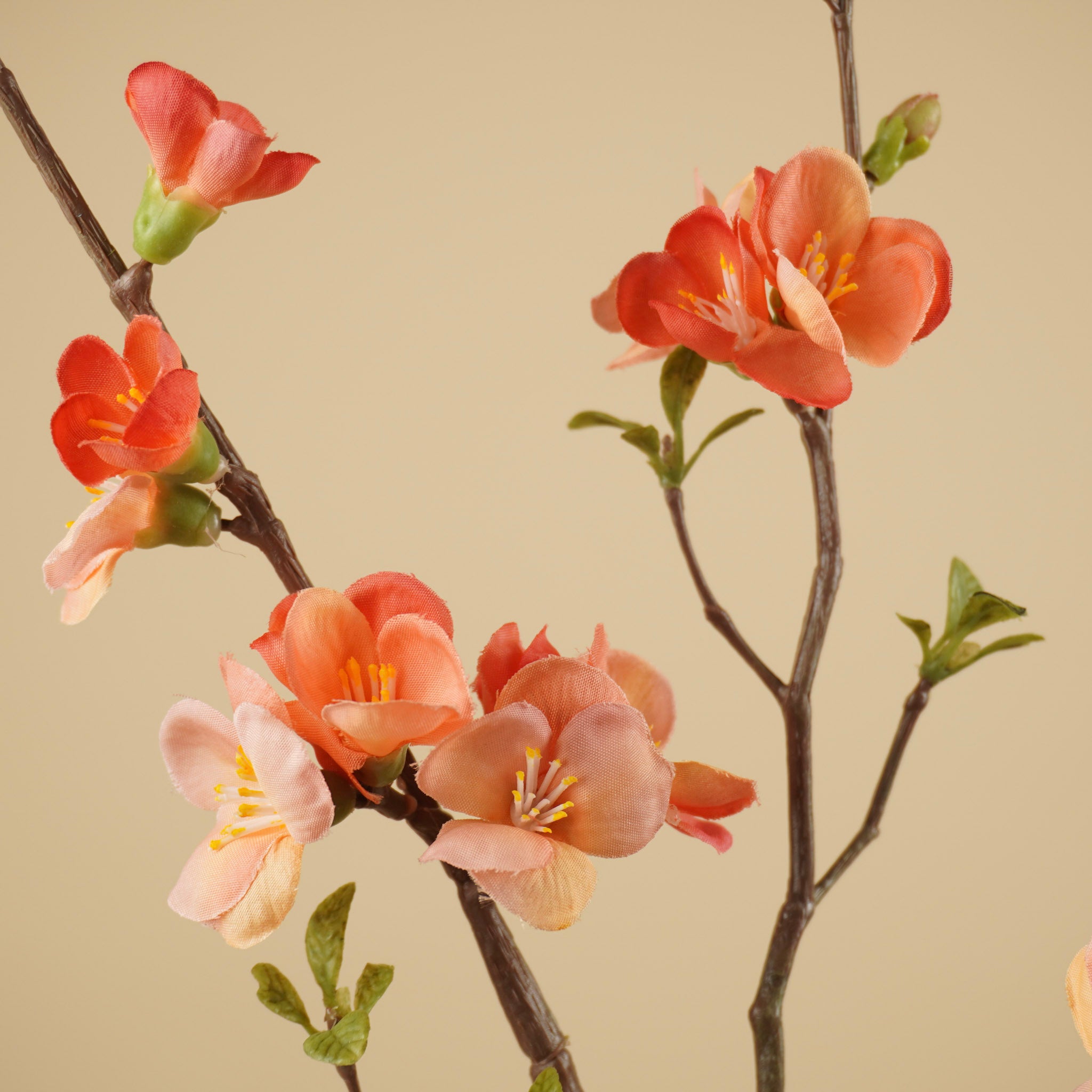 Zijde Chaenomeles Tak – Zalmroze & Perzik (81 cm)