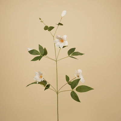 Zijde Clematis – Wit (82 cm)