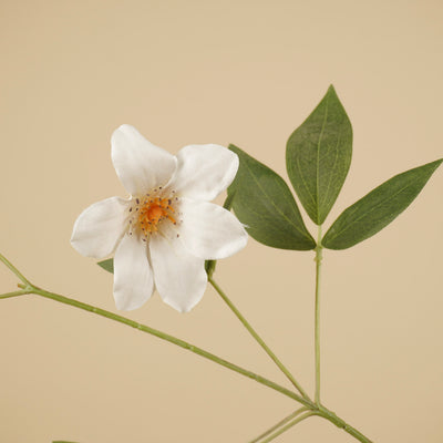 Zijde Clematis – Wit (82 cm)