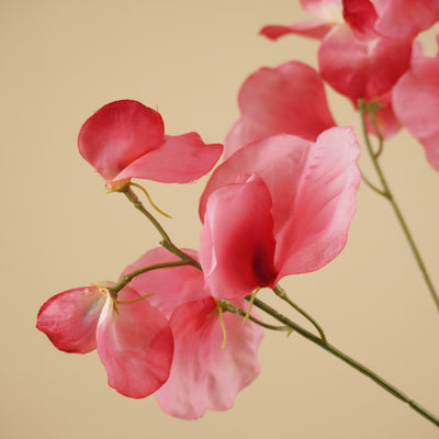 Zijde Lathyrus – Roze (75 cm)
