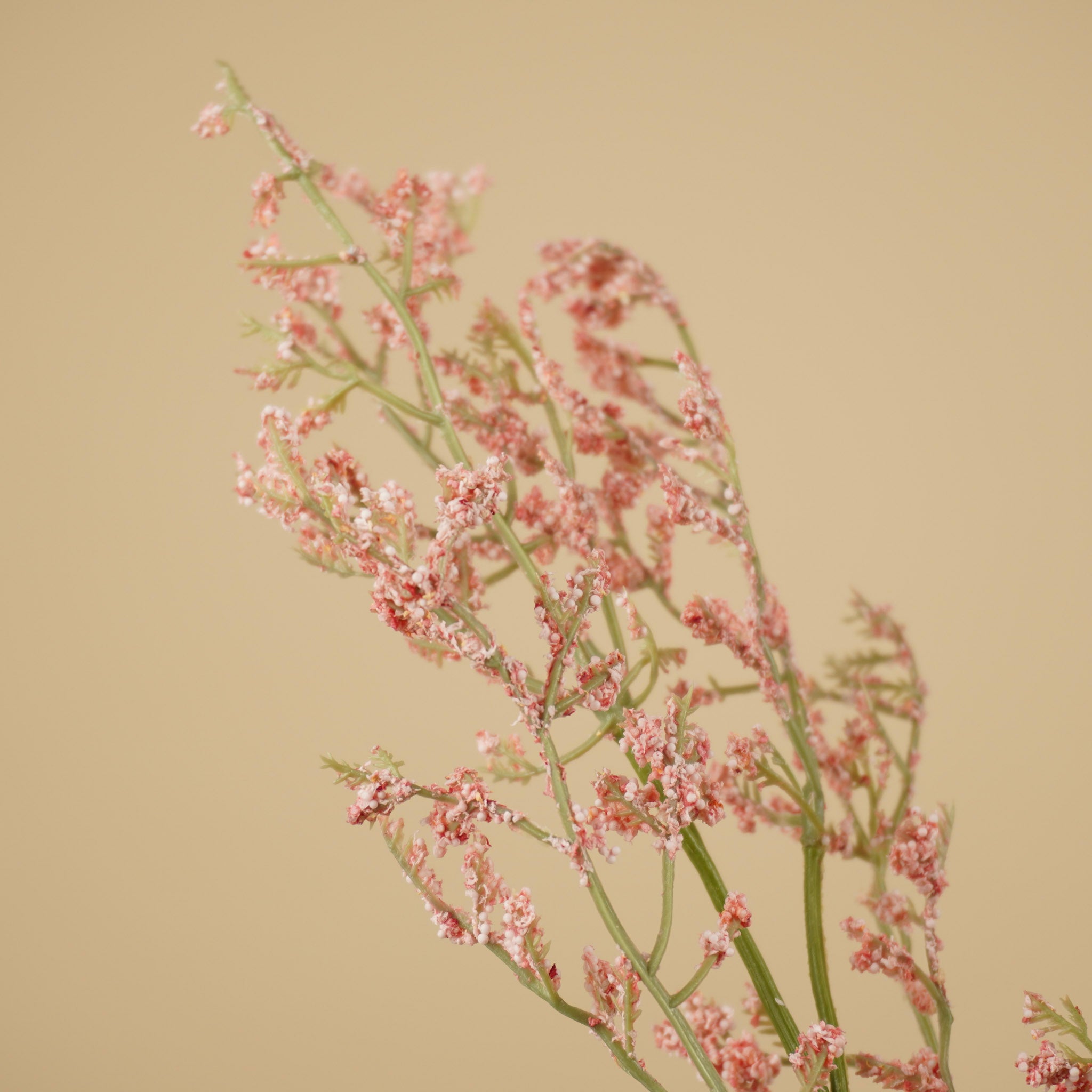 Zijde Limonium Tak – Zachtroze (82 cm)