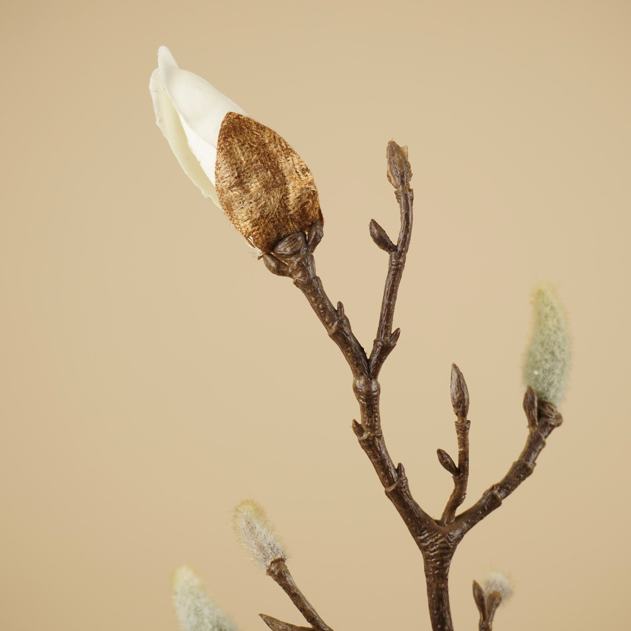 Zijde magnoliaknoppentak crème