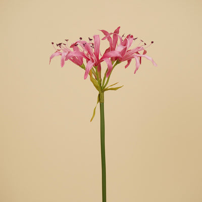 Zijde Nerine Tak – Zacht Roze (65 cm)