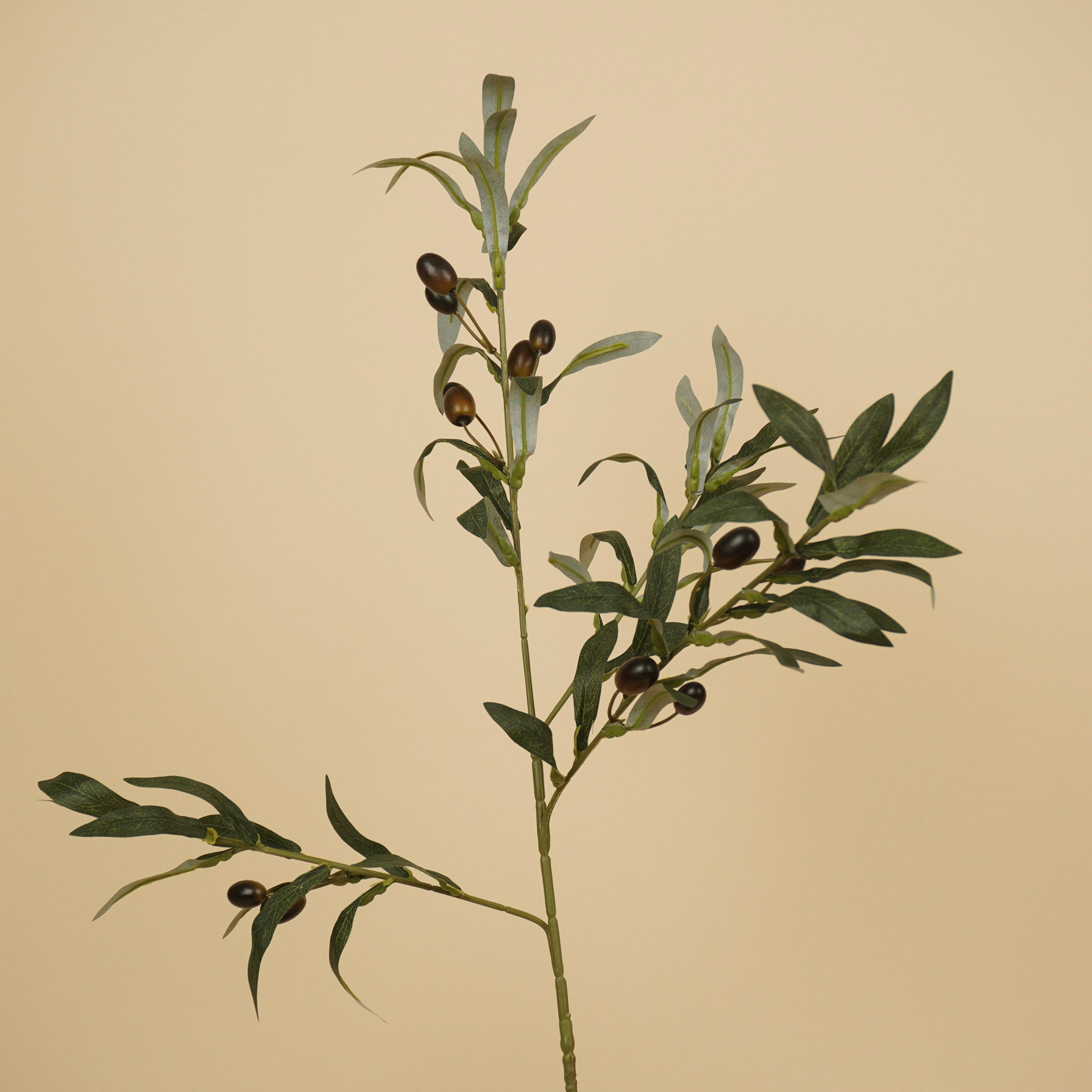 Zijde Olijftak – Groen (75 cm)