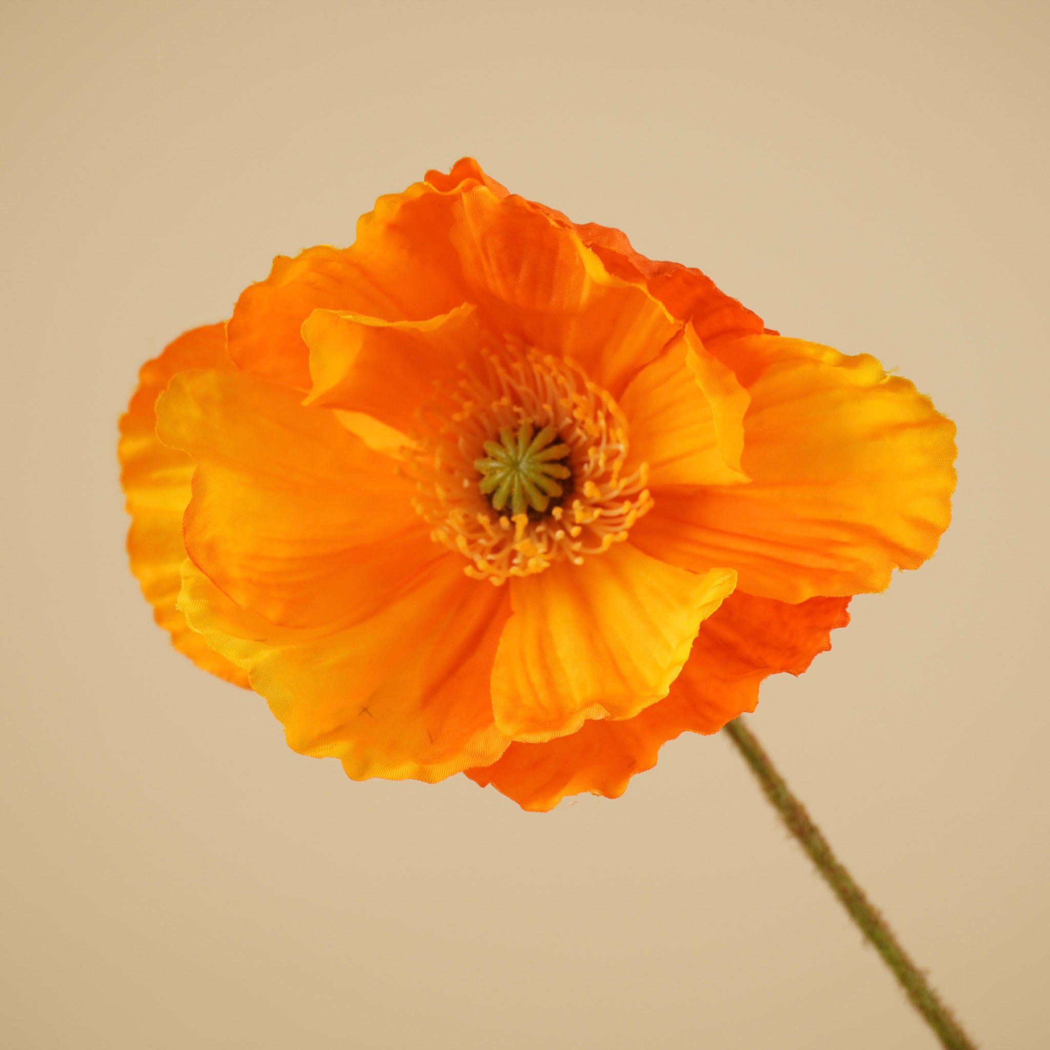 Zijde Papaver Tak – Klaproos Oranje (75 cm)