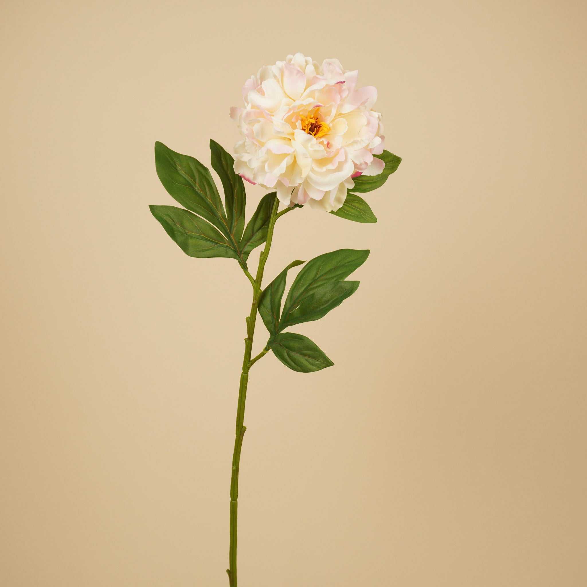 Zijde Pioenroos – Roze (75 cm)