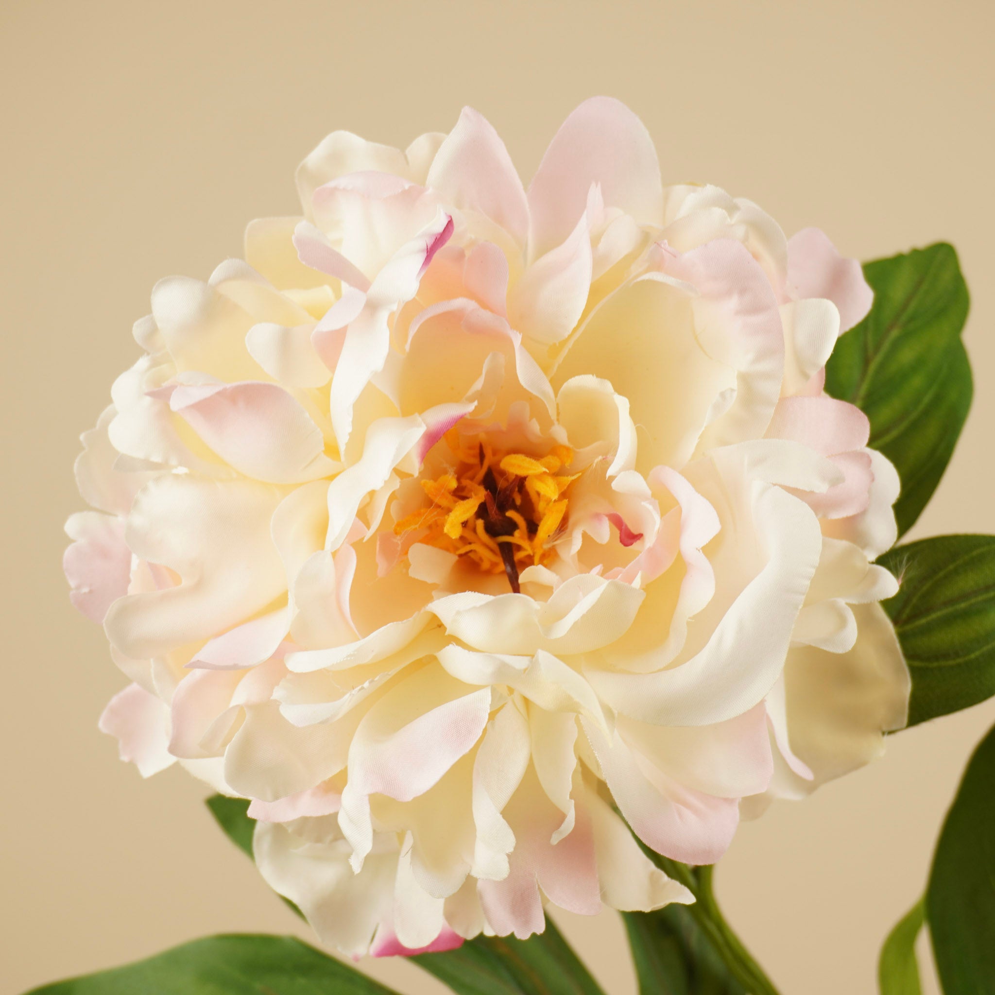 Zijde Pioenroos – Roze (75 cm)