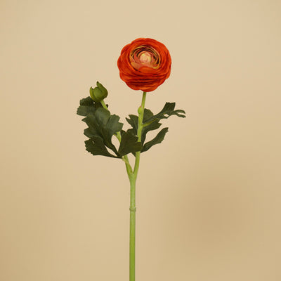 Zijde Ranunculus – Warm Oranje (51 cm)