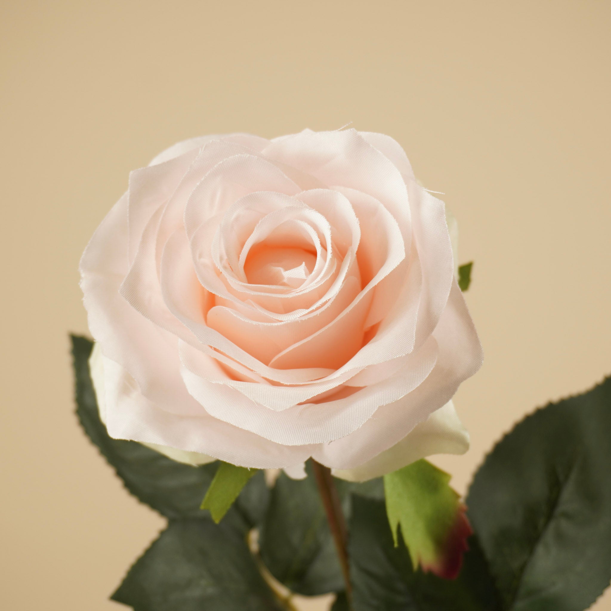 Zijde Roos Simone – Lichtroze (73 cm)