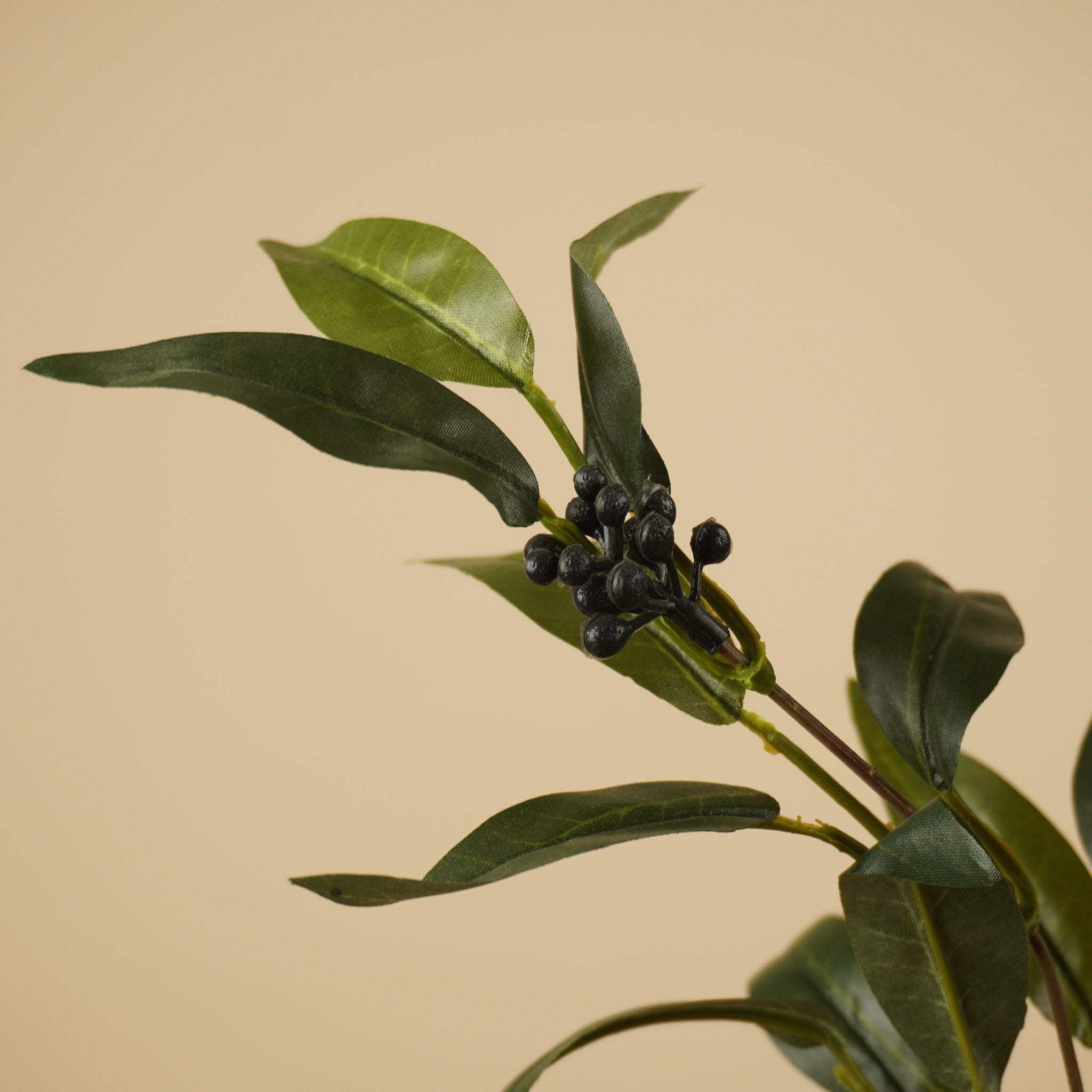 Zijde Ruscus met Bes – Groen (57 cm)